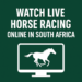 Where to Watch Live Horse Racing Online in South Africa