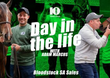 Before the Winning Post: Adam Marcus Goes Hunting for Future Champions